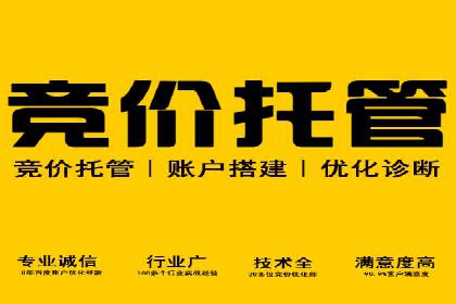 探索sem公司的策略与效果